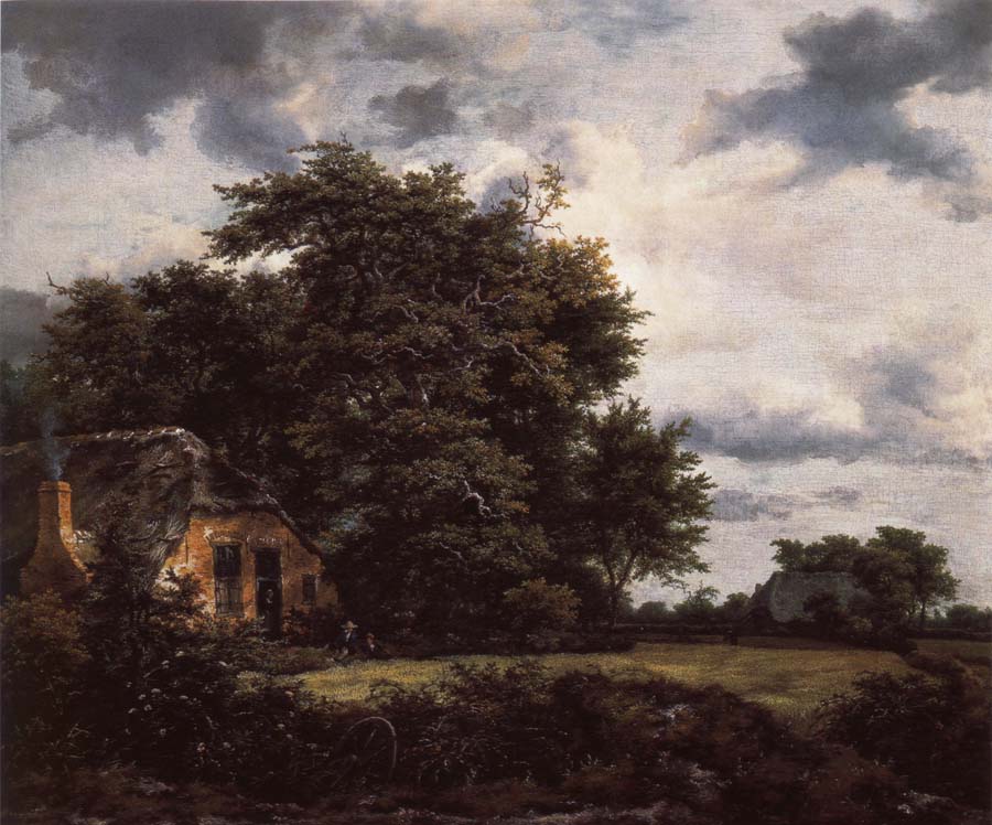 Cottage under the trees near a Grainfield